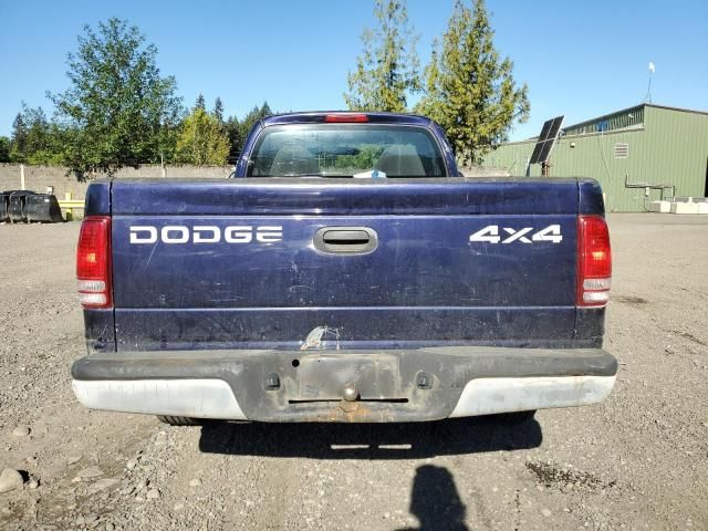 1999 Dodge Dakota