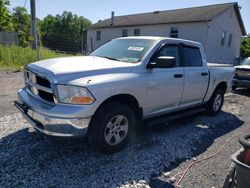 Dodge salvage cars for sale: 2009 Dodge RAM 1500