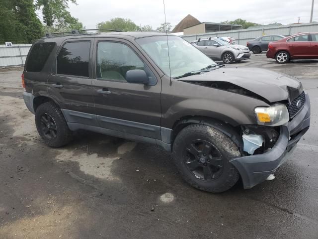 2007 Ford Escape XLT