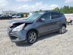 2013 Ford Escape SEL for sale in Memphis, TN