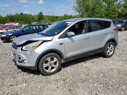 2014 Ford Escape SE en venta en Candia, NH