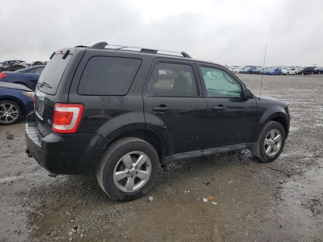 2011 Ford Escape Limited