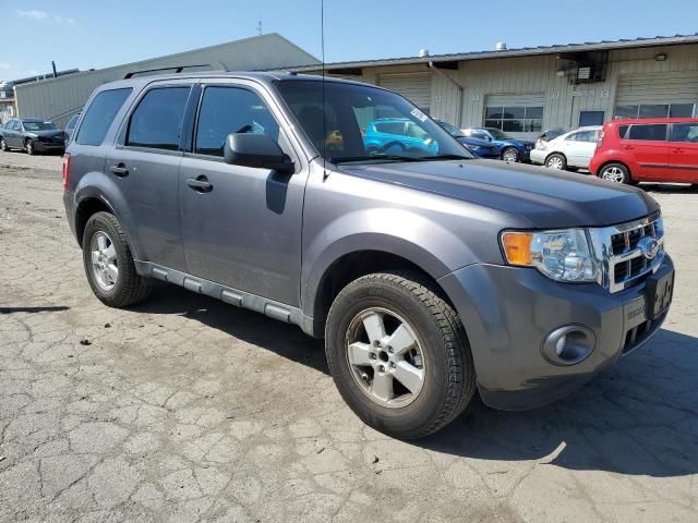 2009 Ford Escape XLT