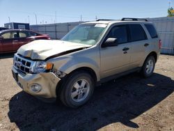 2012 Ford Escape XLT for sale in Greenwood, NE