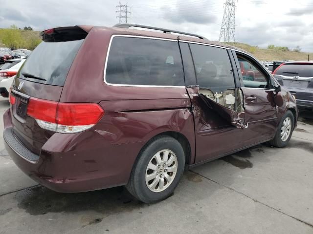 2008 Honda Odyssey EXL