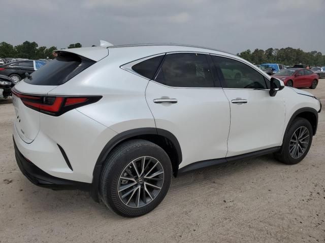 2024 Lexus NX 250 Premium