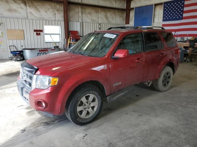 2008 Ford Escape Limited