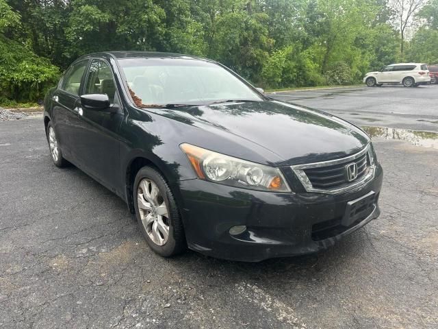 2008 Honda Accord EXL