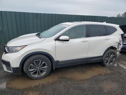 Honda salvage cars for sale: 2020 Honda CR-V EXL