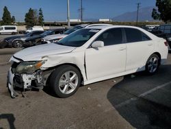 Salvage cars for sale from Copart Rancho Cucamonga, CA: 2011 Toyota Camry Base