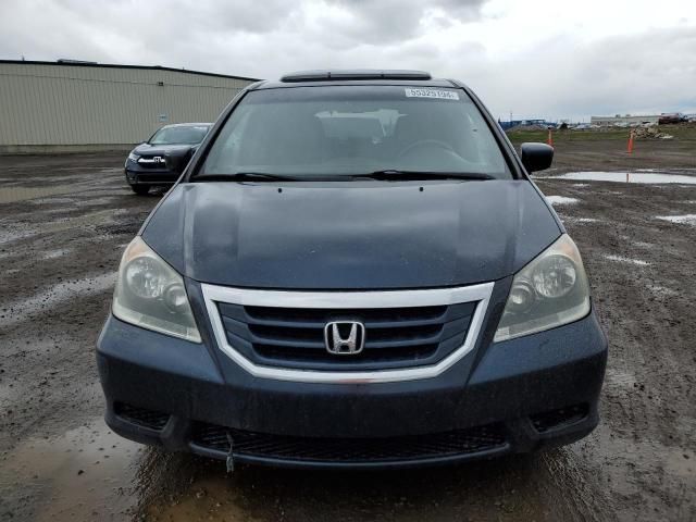 2009 Honda Odyssey EXL