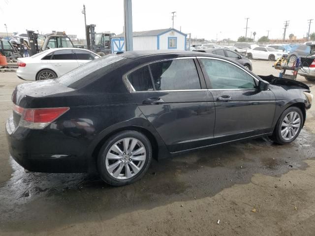 2011 Honda Accord EXL