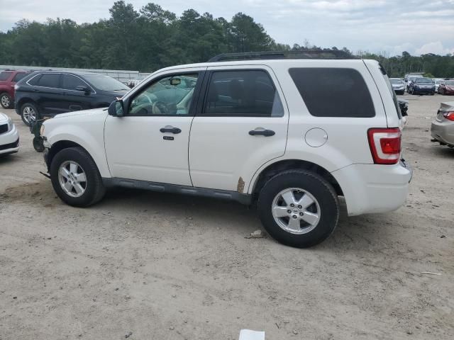 2009 Ford Escape XLT