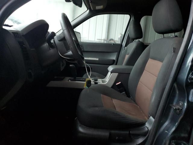 2008 Ford Escape XLT