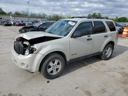 2008 Ford Escape XLT for sale in Fort Wayne, IN