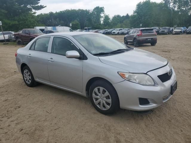 2010 Toyota Corolla Base