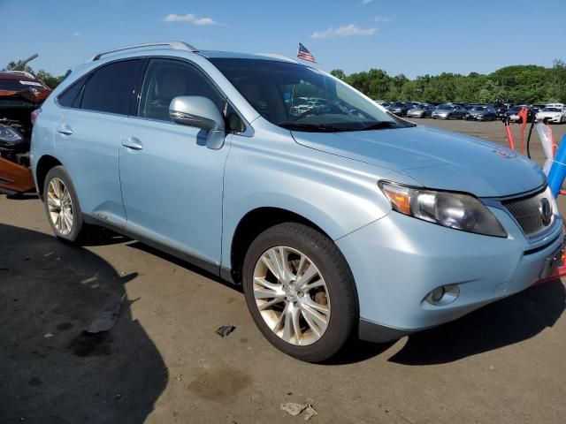 2010 Lexus RX 450