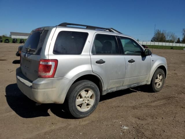 2010 Ford Escape XLT