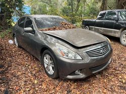 Vehiculos salvage en venta de Copart Midway, FL: 2010 Infiniti G37