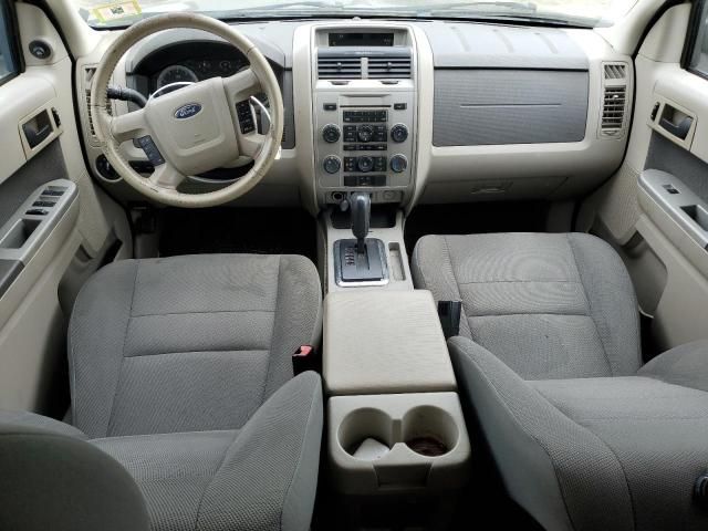 2009 Ford Escape XLT