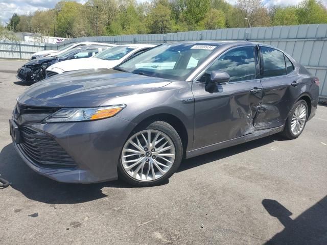 2019 Toyota Camry Hybrid