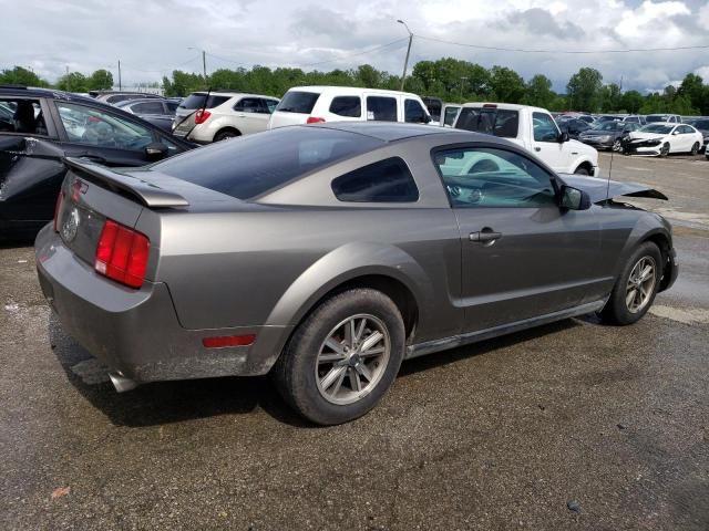 2005 Ford Mustang