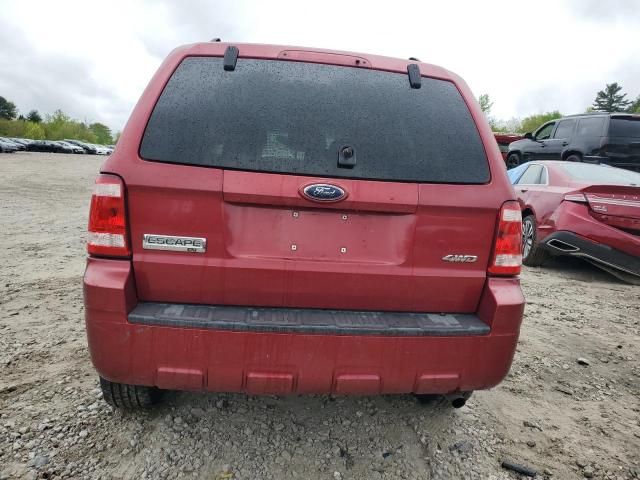 2008 Ford Escape XLT