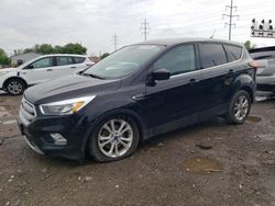 Salvage cars for sale from Copart Columbus, OH: 2019 Ford Escape SE