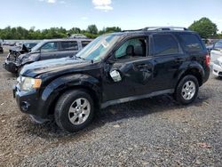 2012 Ford Escape Limited en venta en Hillsborough, NJ