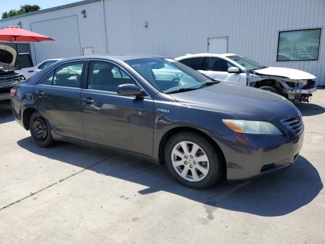 2009 Toyota Camry Hybrid