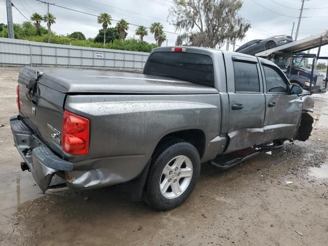 2011 Dodge Dakota SLT