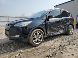 Salvage cars for sale from Copart Appleton, WI: 2016 Ford Escape Titanium