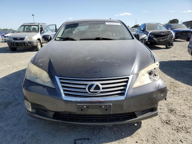 2010 Lexus ES 350