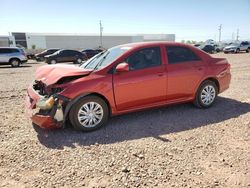 Toyota salvage cars for sale: 2009 Toyota Corolla Base