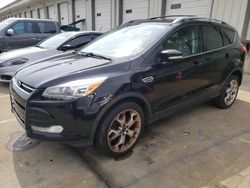 2016 Ford Escape Titanium for sale in Louisville, KY