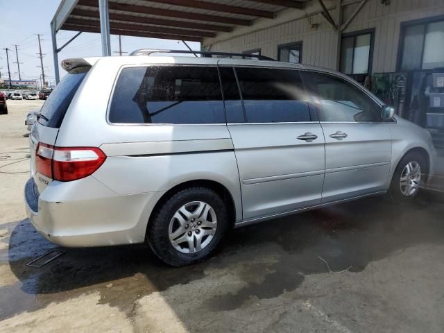 2005 Honda Odyssey EXL