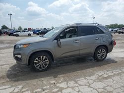 KIA salvage cars for sale: 2013 KIA Sorento SX