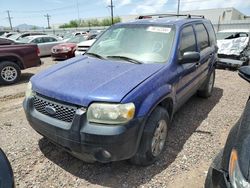 2005 Ford Escape XLT for sale in Phoenix, AZ