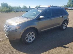 Ford Edge sel salvage cars for sale: 2013 Ford Edge SEL