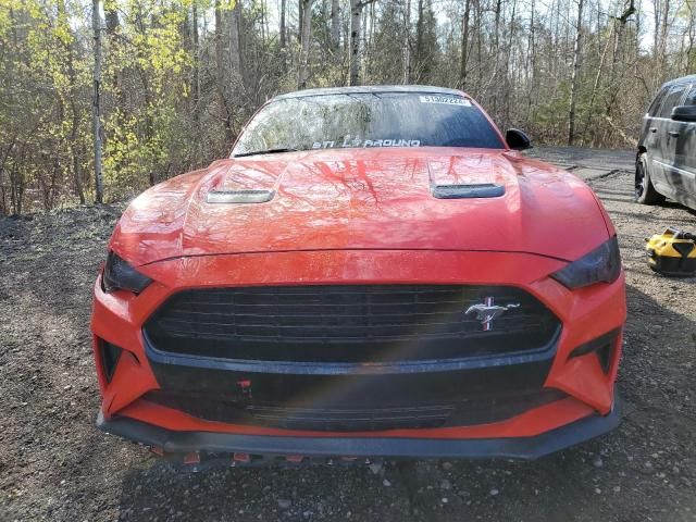 2019 Ford Mustang GT