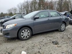 Toyota salvage cars for sale: 2010 Toyota Corolla Base