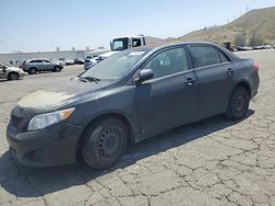 Toyota Corolla salvage cars for sale: 2010 Toyota Corolla Base