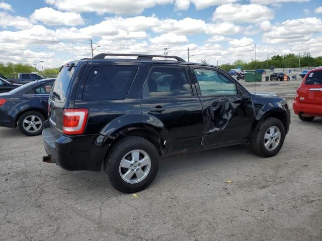 2009 Ford Escape XLT