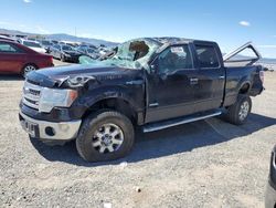2014 Ford F150 Supercrew for sale in Helena, MT