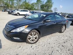 Vehiculos salvage en venta de Copart Cicero, IN: 2013 Hyundai Sonata SE