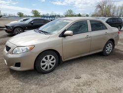 Salvage cars for sale from Copart London, ON: 2010 Toyota Corolla Base