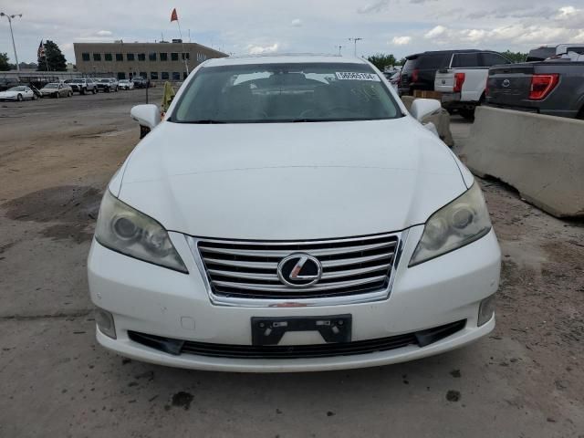 2011 Lexus ES 350