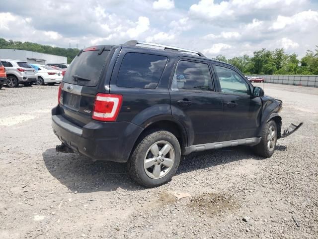 2009 Ford Escape Limited