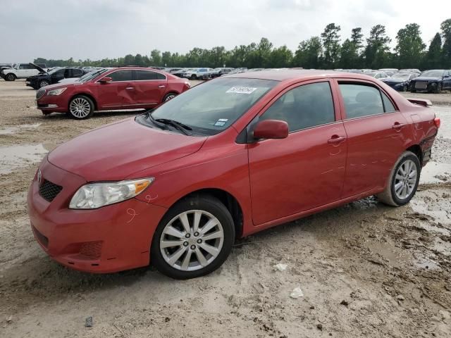 2009 Toyota Corolla Base