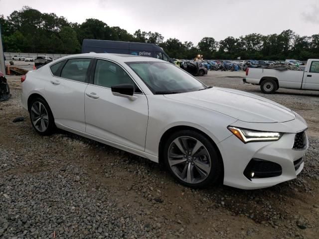 2023 Acura TLX Advance